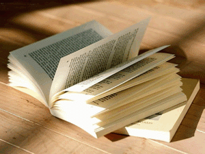 01f5e17f9f0890d51389ba6665aa6297.gif