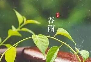 谷雨经典诗词18首，留住一抹春~