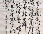 《青玉案 元夕》东风夜放花千树，更吹落、星如雨